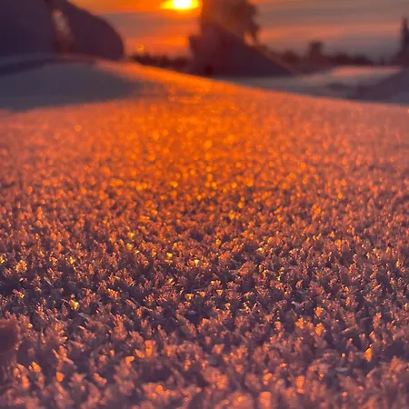 Apartman Levistar412