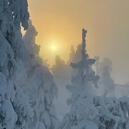 דירה Levistar412