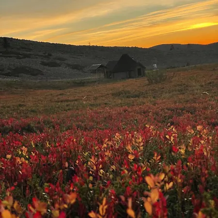 Διαμέρισμα Levistar412 *