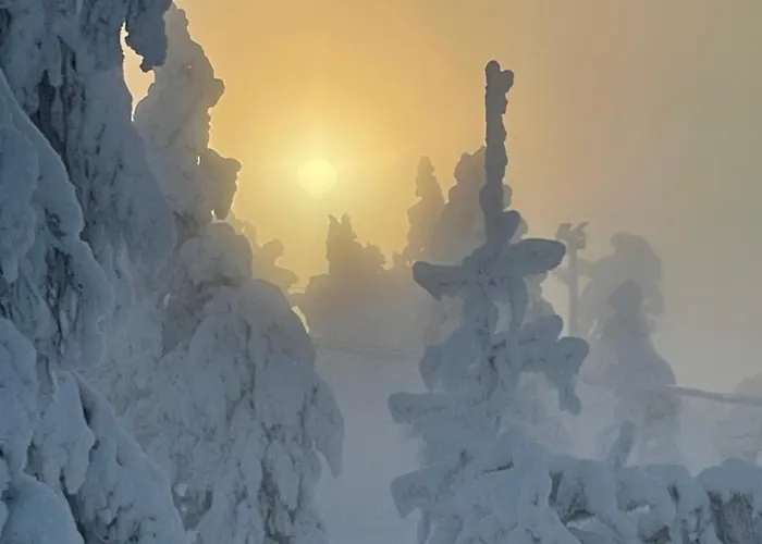 Apartman Levistar412