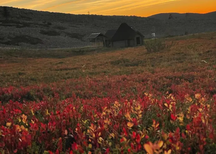 Διαμέρισμα Levistar412 *